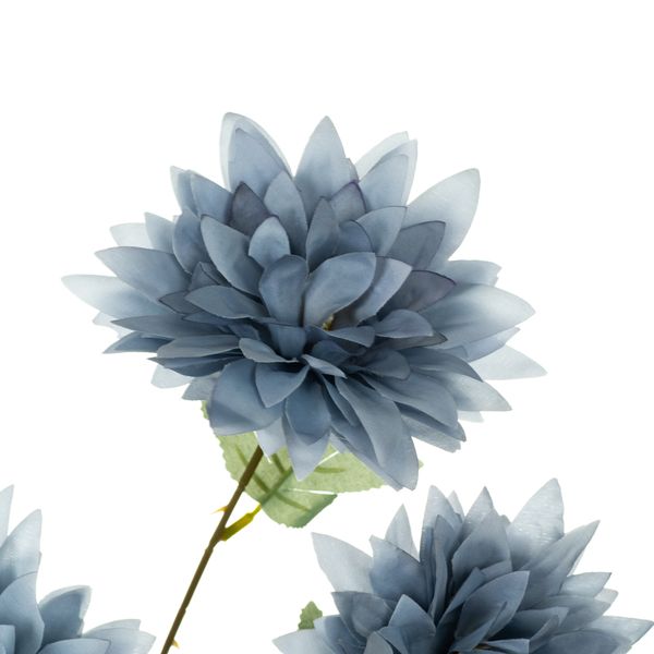 Хризантема, блакитна 8725-046 фото