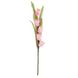 Тюльпани "Чарівність", рожеві, 35 см 5004-002 фото 1