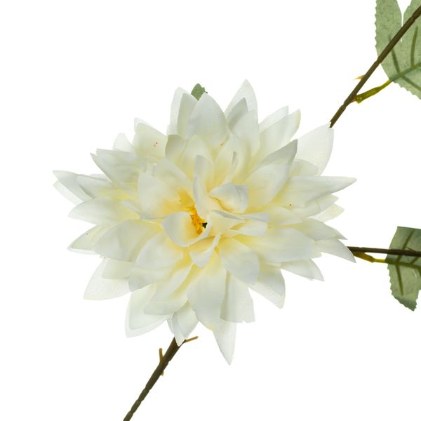 Хризантема, біла 8725-047 фото