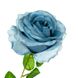 Роза, блакитна 8725-049 фото 2