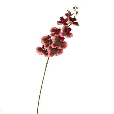 Орхідея 106 см., Бордова 8701-011 фото