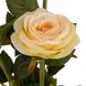 Букет троянд, ніжно-помаранчевий, 23 см 8921-040 фото 2