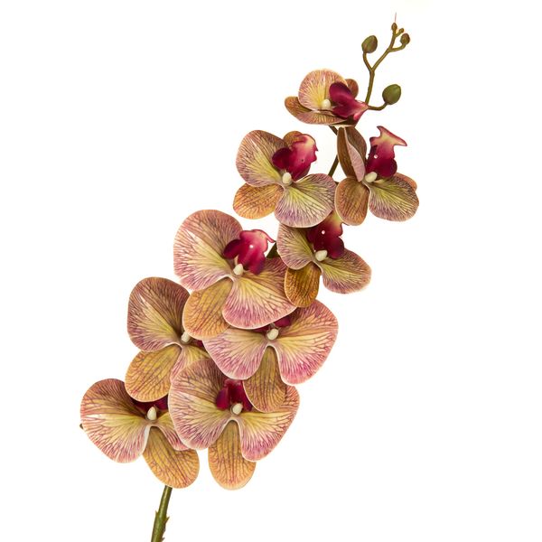 Орхідея 106 см., Жовто-рожева 8701-013 фото
