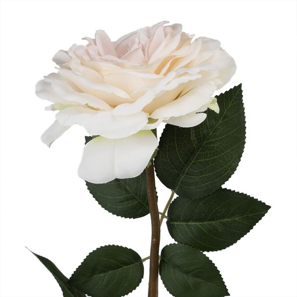 Троянда "Зворушливість", блідо-рожева, 75 см 6018-056 фото