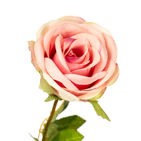 Квітка штучна "Троянда благородна" 2000-020PK фото