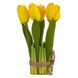 Букет тюльпанів, жовтий, 18 см 8921-010 фото 1