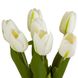 Букет тюльпанів, білий, 18 см 8921-011 фото 2