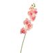 Орхідея фаленопсис, ясно-рожева 8701-020 фото 1
