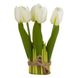 Букет тюльпанів, білий, 18 см 8921-011 фото 1