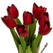 Букет тюльпанів, червоний, 18 см 8921-012 фото 2