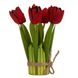 Букет тюльпанів, червоний, 18 см 8921-012 фото 1