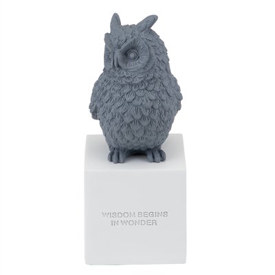 Статуетка "Owl" 25 см, сіра 8924-010 фото