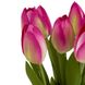 Букет тюльпанів, рожевий, 18 см 8921-013 фото 1