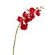 Орхідея фаленопсис, червона 8701-003 фото 1