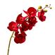 Орхідея фаленопсис, червона 8701-003 фото 2