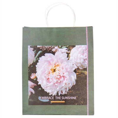 Подарунковий пакет "Квіткове натхнення", 32 * 26 * 12 см 8930-009 фото