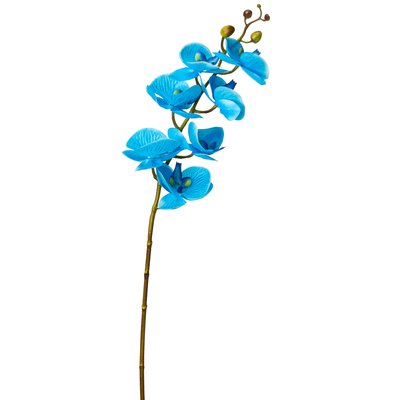 Орхідея фаленопсис, блакитна 8701-006 фото