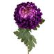 Хризантема "Пурпурова лавина", фіолетова 2000-080PL фото 1
