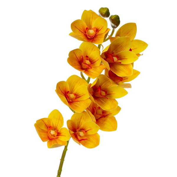 Орхідея ванда, жовта 8701-029 фото