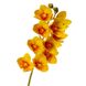 Орхідея ванда, жовта 8701-029 фото 2