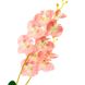 Орхідея катлея, рожева 8701-024 фото 2