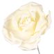 Квітка для фотозони біла (маленька) 0383JA-А фото 2