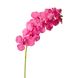 Орхідея онцидиум, рожева 8701-033 фото 1